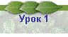 Урок 1