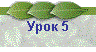 Урок 5